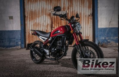 Daytona 2025 scrambler 125